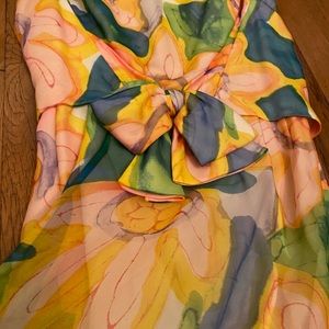60s/70s Chiffon Gown Sise 4/5